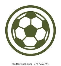 董路：中国是世界上最不热爱足球的人!球员不爱足球,就是干活挣钱