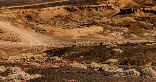 18强赛国足0：2不敌澳大利亚 无缘直通世界杯